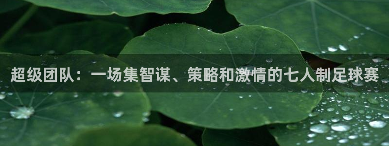 沙巴·体育综合平台官网