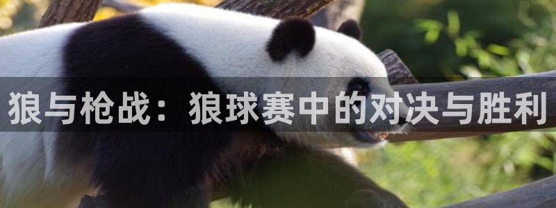 沙巴足球