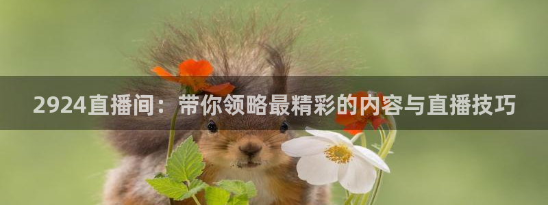 857直播体育在线观看：2924直播间：带你领略最精彩的内容与直播技巧