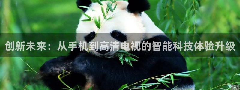 857直播体育nba直播：创新未来：从手机到高清电视的智能科技体验升级