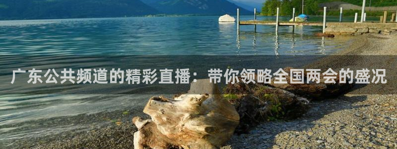 857直播nba在线观看：广东公共频道的精彩直播：带你领略全国两会的盛况