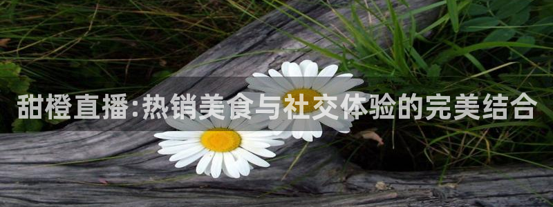 857zb1体育直播：甜橙直播:热销美食与社交体验的完美结合