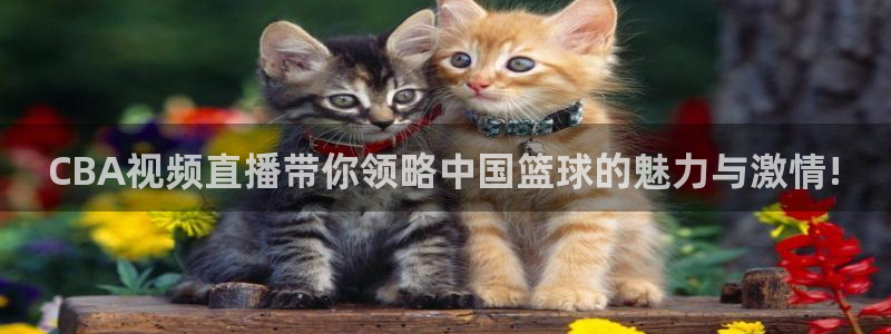 857篮球直播：CBA视频直播带你领略中国篮球的魅力与激情!